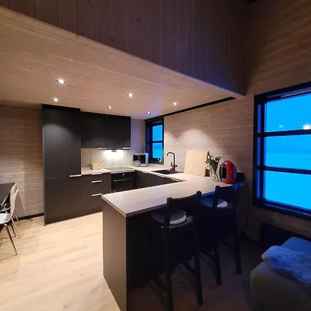 Flott Enderekkehus Med Fantastisk Utsikt Apartman Longyearbyen